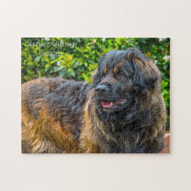 Quebra-cabeça Cão Leonberger. (Horizontal)