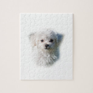 Quebra-cabeça Cão maltês bonito