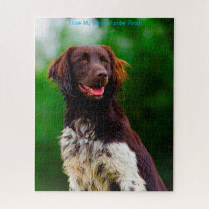 Quebra-cabeça Cão Munsterlander.
