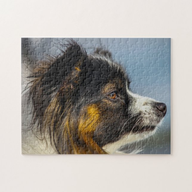 Quebra-cabeça Cão Papillon (Horizontal)