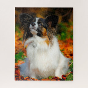 Quebra-cabeça Cão Papillon.