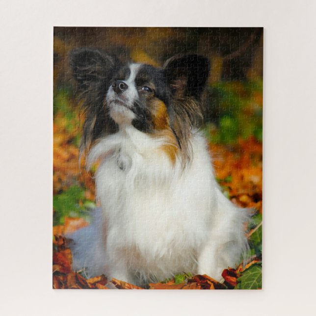 Quebra-cabeça Cão Papillon. (Vertical)