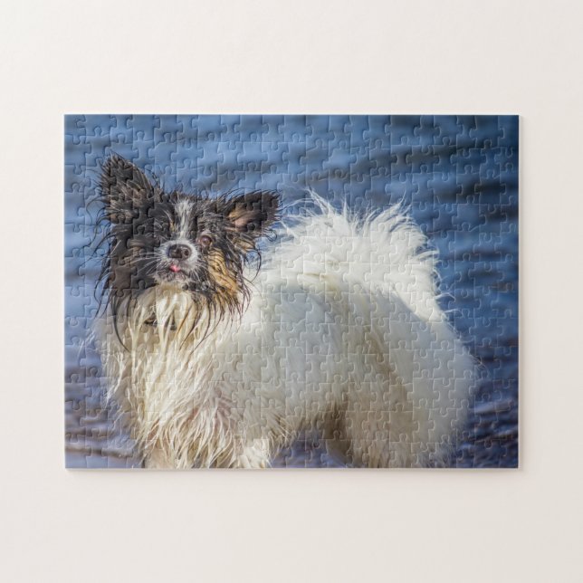 Quebra-cabeça Cão Papillon. (Horizontal)
