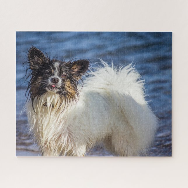 Quebra-cabeça Cão Papillon. (Horizontal)
