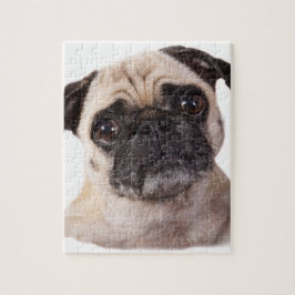 Quebra-cabeça cão pequeno bonito do pug