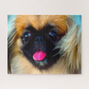 Quebra-cabeça Cão Pequinês.