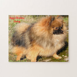 Quebra-cabeça Cão Pomerânia.