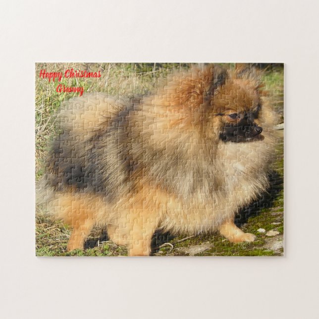 Quebra-cabeça Cão Pomerânia. (Horizontal)