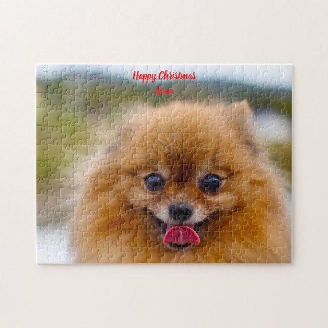 Quebra-cabeça Cão Pomerânia. (Horizontal)