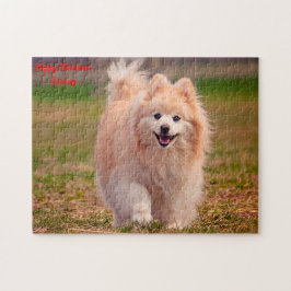 Quebra-cabeça Cão Pomerânia.