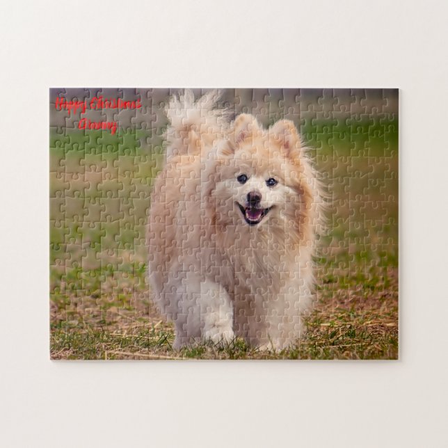 Quebra-cabeça Cão Pomerânia. (Horizontal)