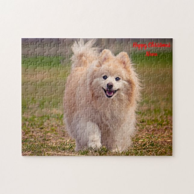 Quebra-cabeça Cão Pomerânia. (Horizontal)