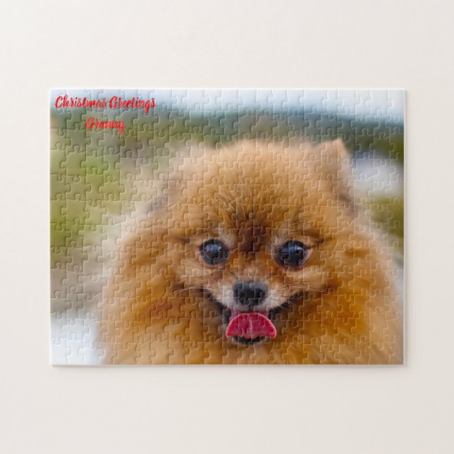 Quebra-cabeça Cão Pomerânia. (Horizontal)
