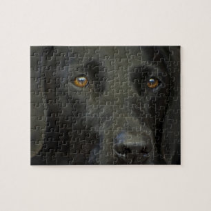 Quebra-cabeça Cão preto de Labrador