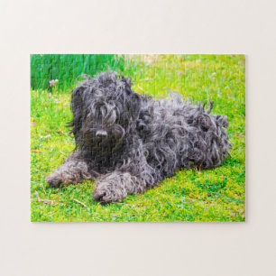 Quebra-cabeça Cão Puli Húngaro.