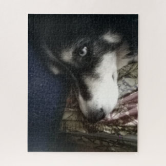 Quebra-cabeça Cão Sonolento