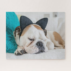 Quebra-cabeça Cão sonolento das imagens de Getty com Headband