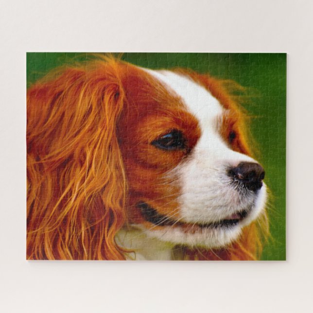 Quebra-cabeça Cão Spaniel King Charles. (Horizontal)