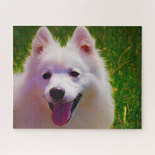 Quebra-cabeça Cão Spitz Japonês.