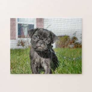 Quebra-cabeça Cãozinho preto