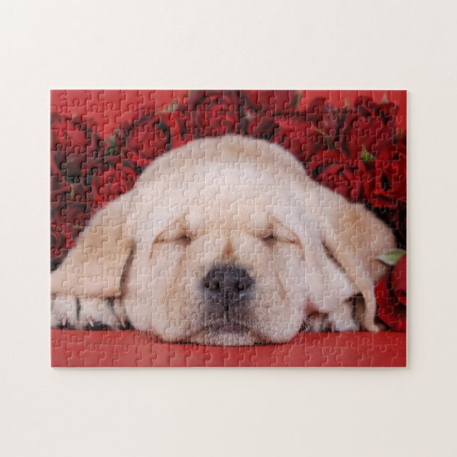 Quebra-cabeça Cãozinho redriever Labrador com rosas vermelhas (Horizontal)