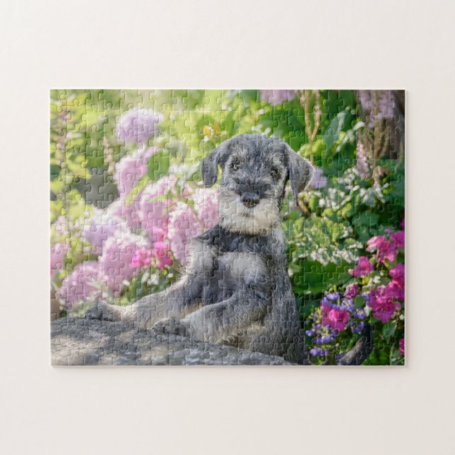 Quebra-cabeça Cãozinho Schnauzer padrão num jardim com flores (Horizontal)