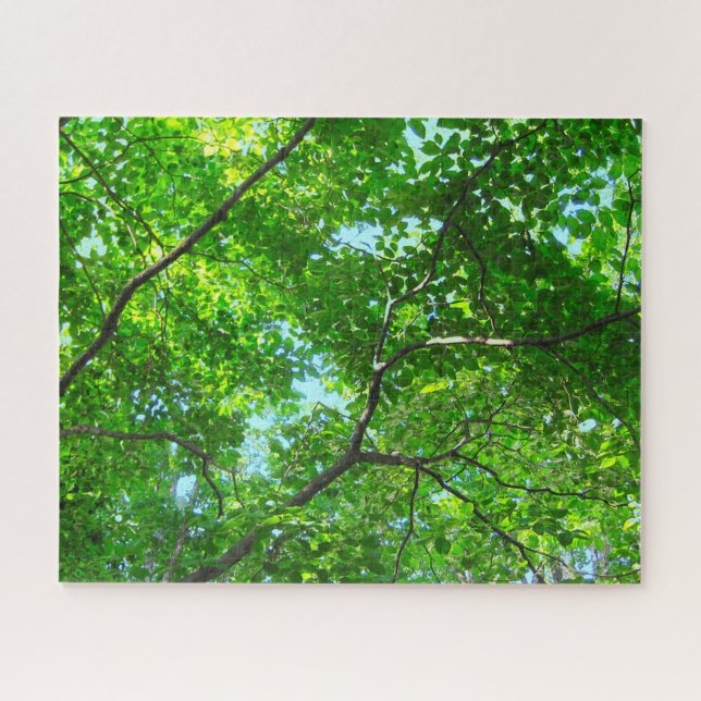 Quebra-cabeça Capa de Ramificações Verdes e Folhosas com Céu Azu (Horizontal)