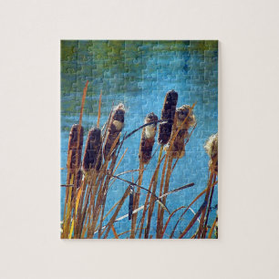 Quebra-cabeça Capas no Pond