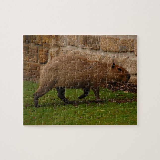 Quebra-cabeça capivara (Horizontal)