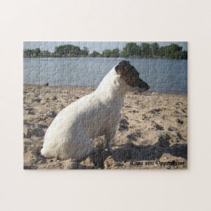 Quebra-cabeça Capo von Oppenheim, Jack Russell Terrier Dog