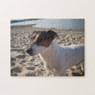 Quebra-cabeça Capo von Oppenheim, Jack Russell Terrier Dog