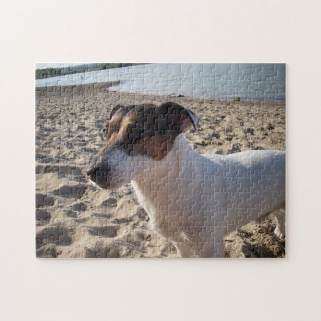Quebra-cabeça Capo von Oppenheim, Jack Russell Terrier Dog (Horizontal)