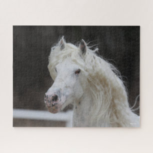Quebra-cabeça Captura de Cabeça de Bob Langrish Appaloosa Frés