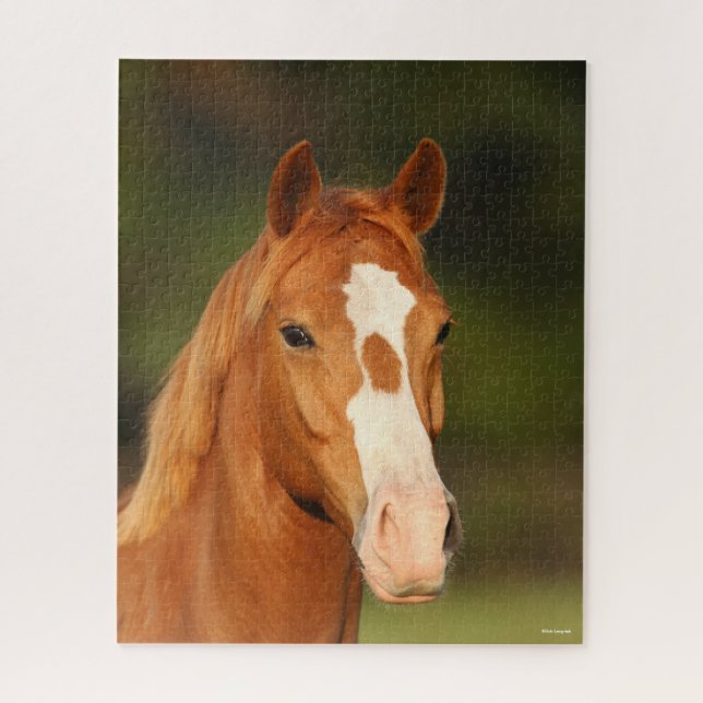 Quebra-cabeça Captura de cabeça de Oldenburg Cross Welsh (Vertical)