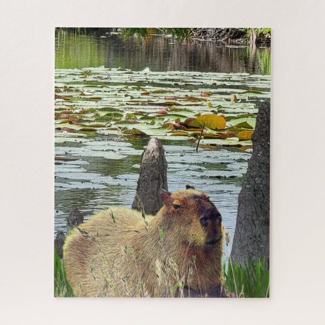 Quebra-cabeça Capybara - Pneumatophores - Wildlife (Vertical)