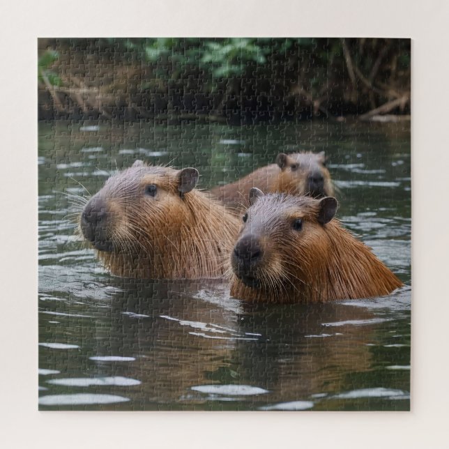 Quebra-cabeça Capybaras Nadando No Rio, (Vertical)