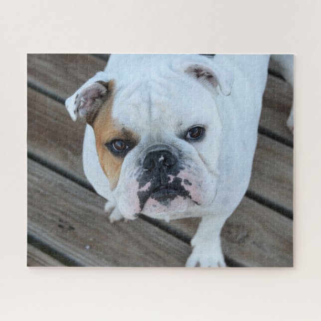 Quebra-cabeça Cara de bulldog  (Horizontal)