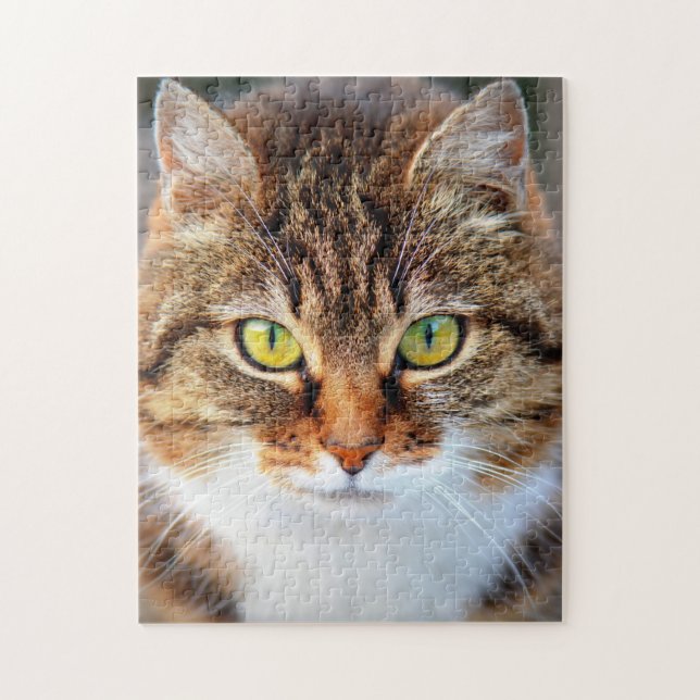 Quebra-cabeça Cara de gato bonito (Vertical)