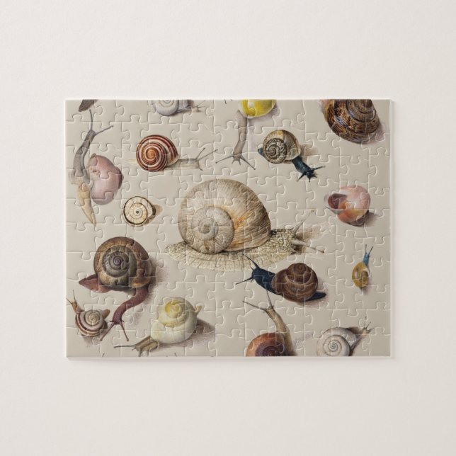 Quebra-cabeça Caracóis de Gastropodo Gastropodo Jardim das Serra (Horizontal)