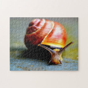 Quebra-cabeça Caracol