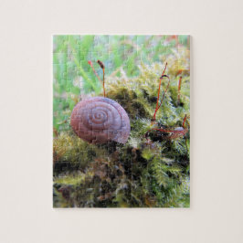 Quebra-cabeça Caracol no musgo