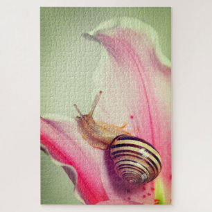 Quebra-cabeça Caracol num Petal Flor