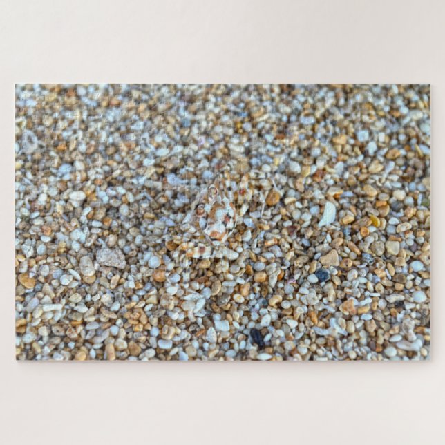 Quebra-cabeça Caranguejo Fantasma Camouflaged em uma praia de Ka (Horizontal)