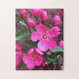 Quebra-cabeça Caranguejo-Flor Rosa