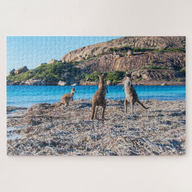 Quebra-cabeça Caranguru na praia, 1014 peças (Horizontal)