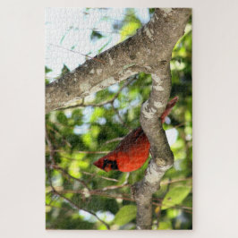 Quebra-cabeça Cardeal em Fotografia em Árvore