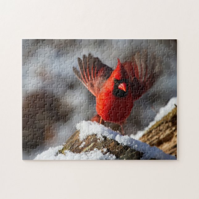 Quebra-cabeça Cardeal Vermelho na Neve (Horizontal)