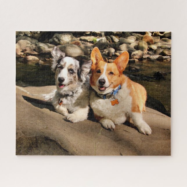 Quebra-cabeça Cardigan e Pembroke Welsh Corgis (Horizontal)