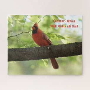 Quebra-cabeça Cardinais aparecem quando anjos estão perto!