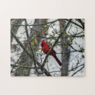 Quebra-cabeça Cardinal